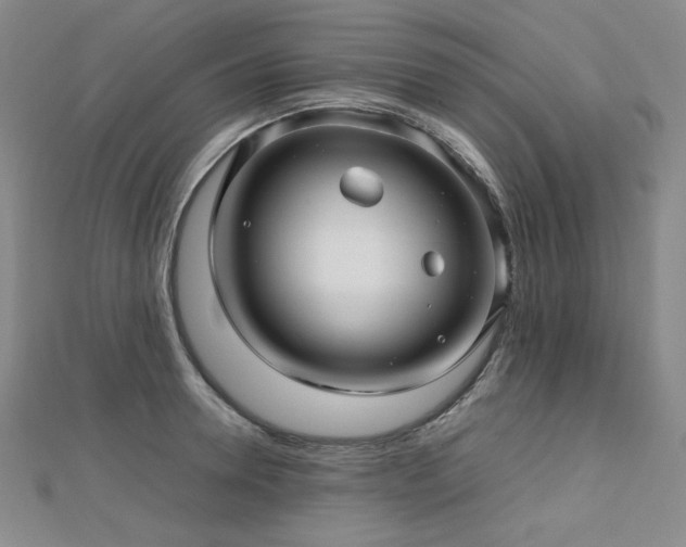 X0000112810946200908211141