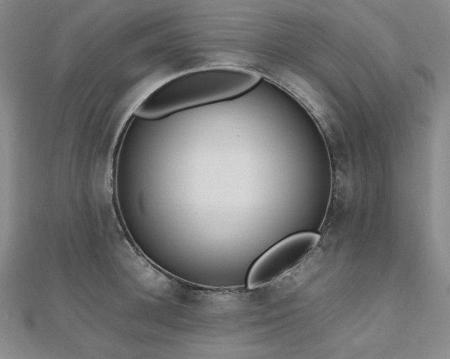 X0000112810948200908211141