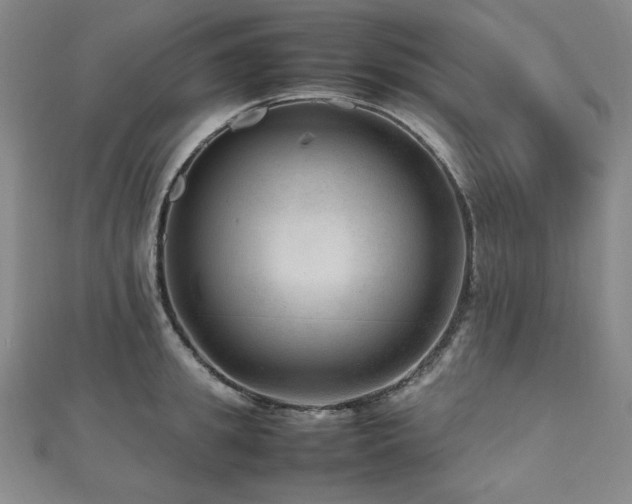 X0000112810949200908211141