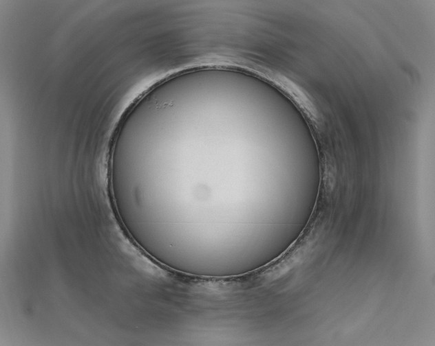 X0000112810950200908211141