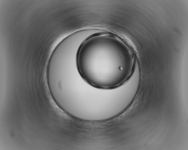 X0000112810952200908211141