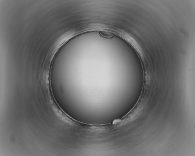 X0000112810954200908211141