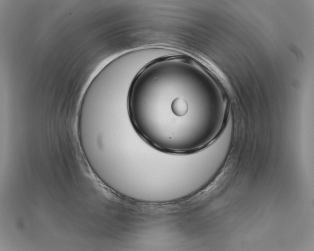 X0000112810956200908211141