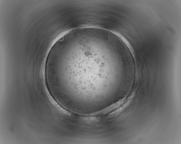 X0000112810957200908211141