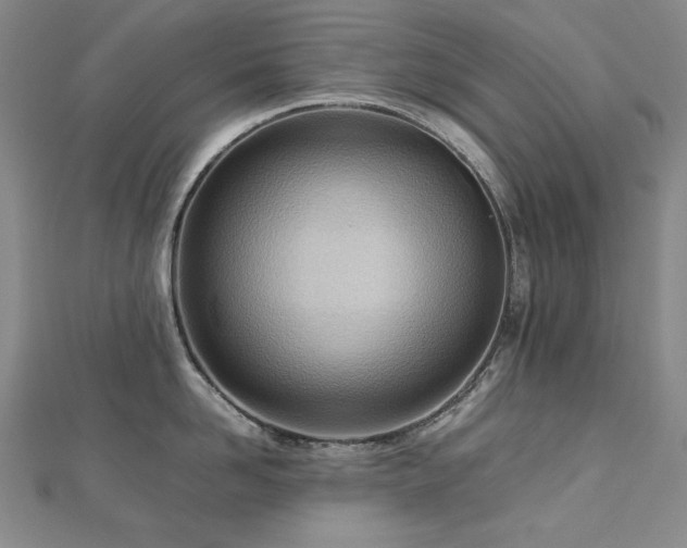 X0000112810958200908211141