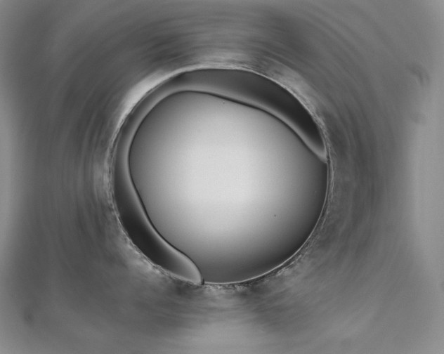X0000112810960200908211141