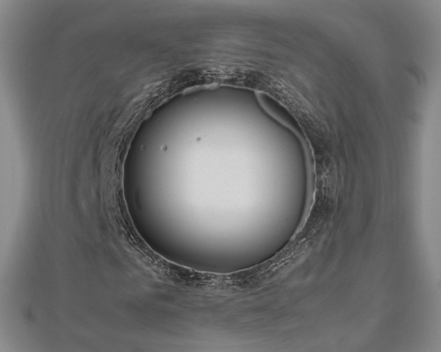 X0000112810961200908211141