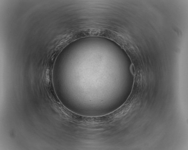 X0000112810962200908211141