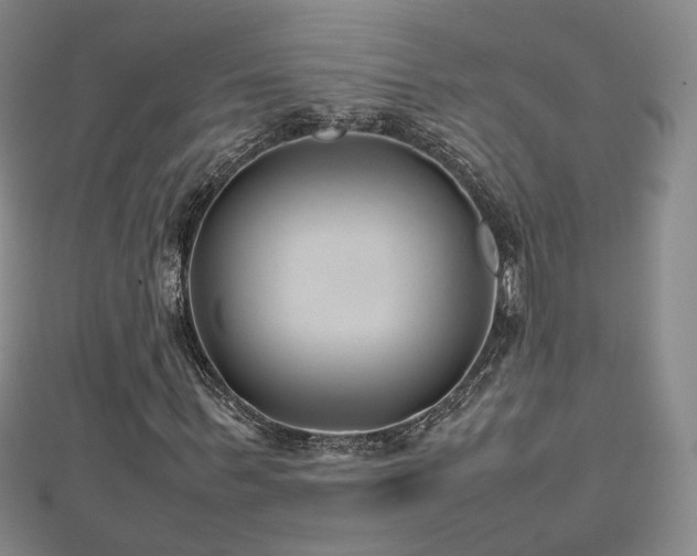 X0000112810963200908211141