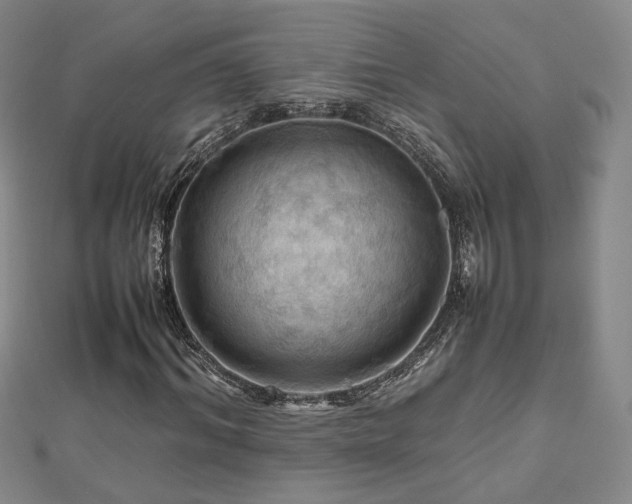 X0000112810964200908211141