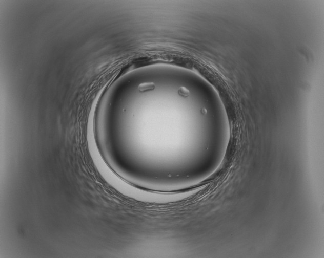 X0000112810965200908211140