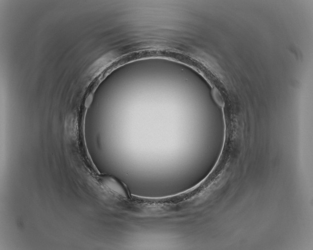 X0000112810969200908211140