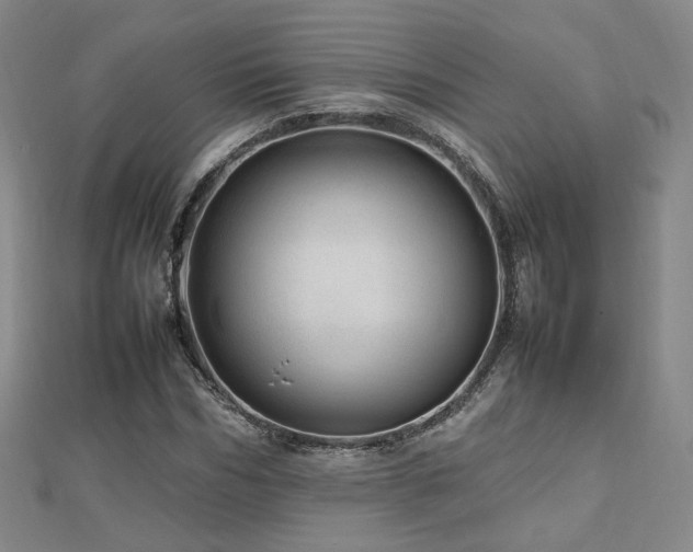X0000112810970200908211140