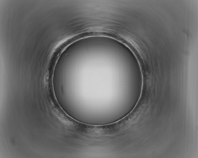 X0000112810971200908211140