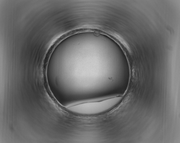 X0000112810972200908211140
