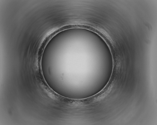 X0000112810974200908211140