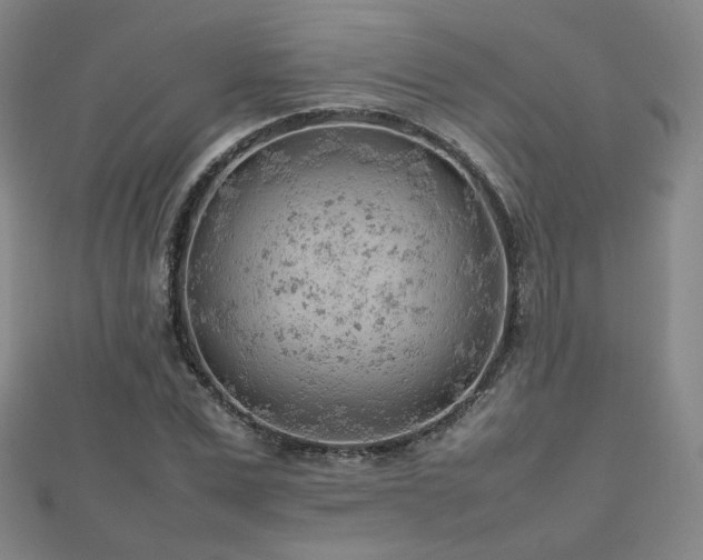 X0000112810975200908211140
