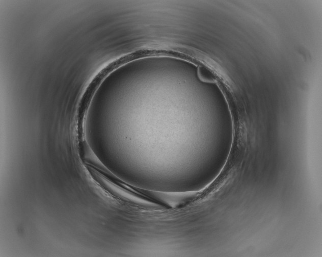 X0000112810976200908211140