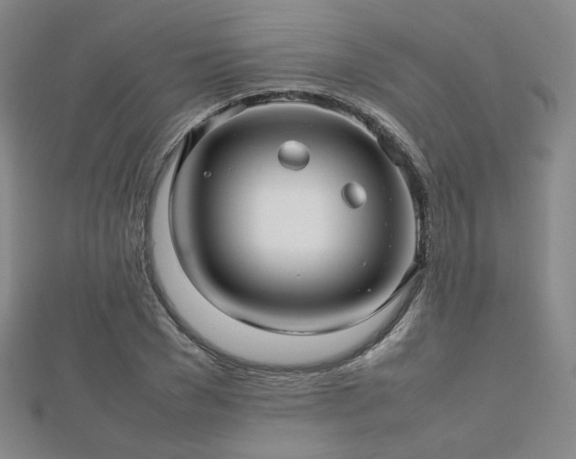 X0000112810977200908211140