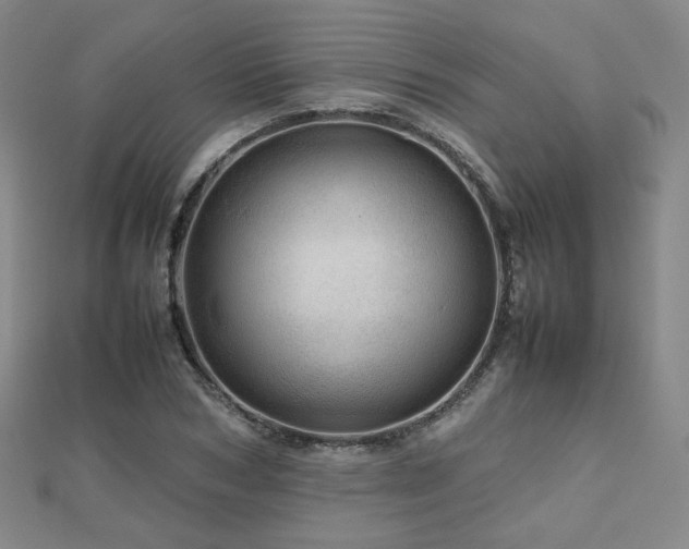 X0000112810978200908211140