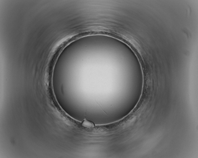 X0000112810979200908211140