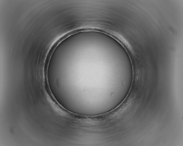X0000112810980200908211140