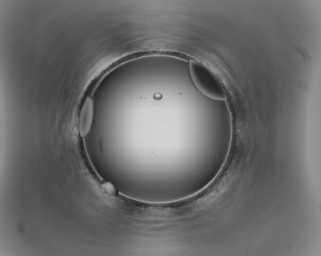 X0000112810981200908211140