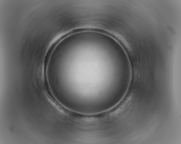 X0000112810982200908211140