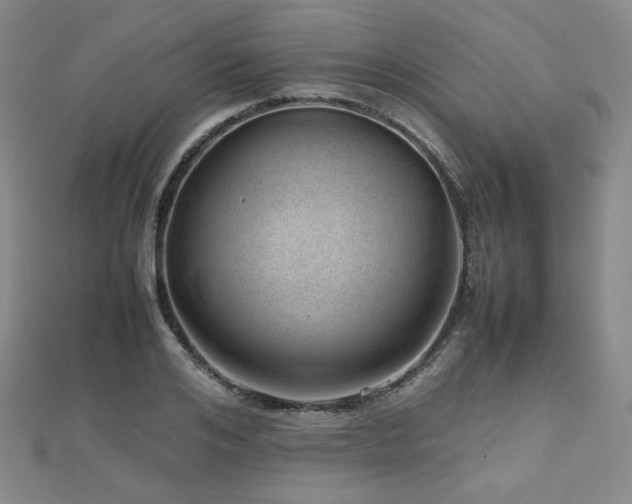 X0000112810984200908211140