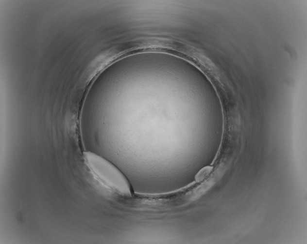 X0000112810985200908211140