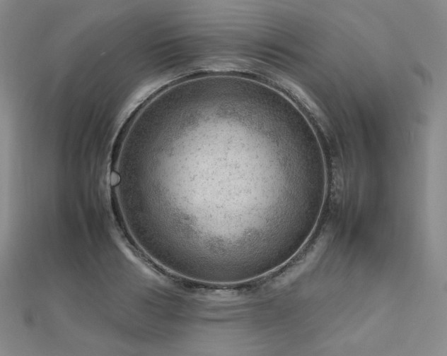 X0000112810986200908211140