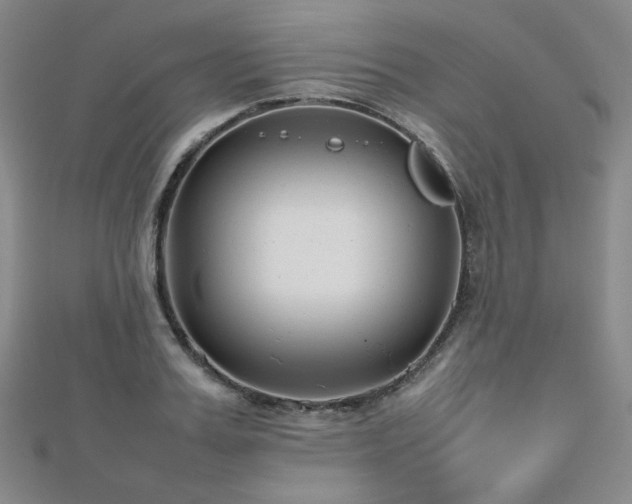 X0000112810987200908211140