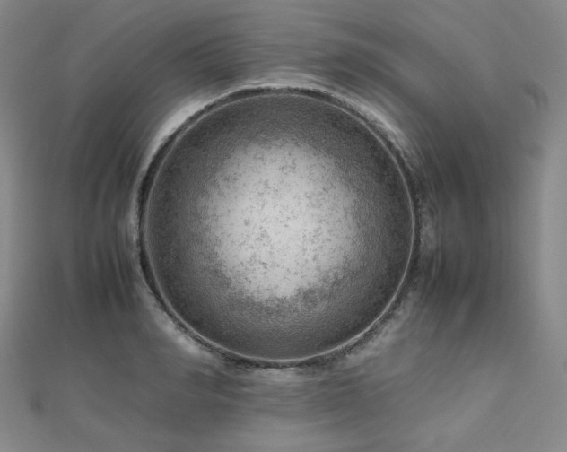 X0000112810990200908211140