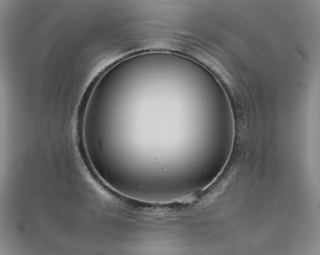 X0000112810991200908211140