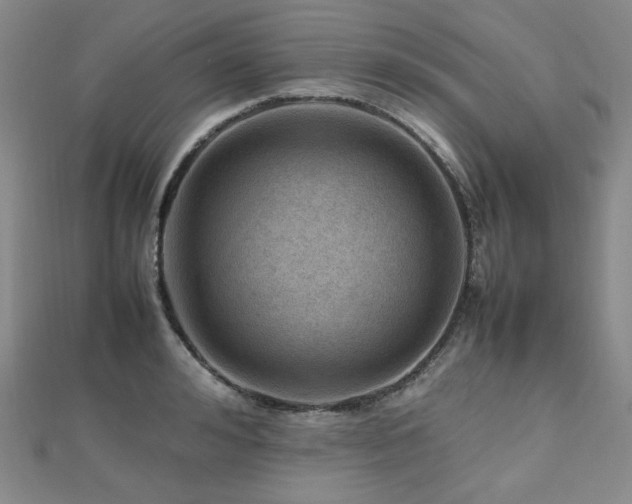 X0000112810992200908211140