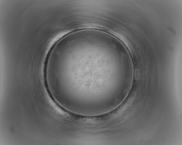 X0000112810995200908211140