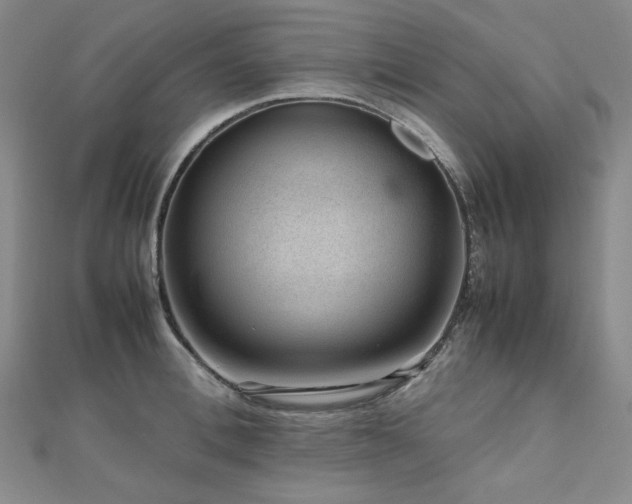X0000112810996200908211140
