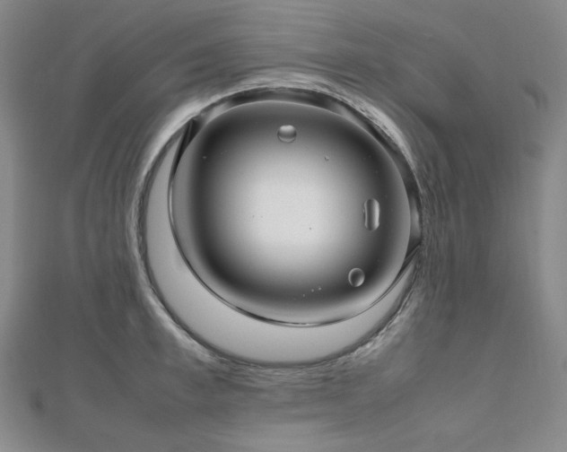 X0000112810997200908211140
