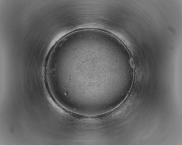 X0000112810998200908211140