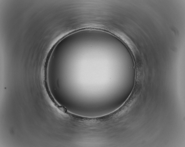 X0000112810999200908211140