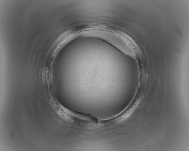 X0000112811001200908211140