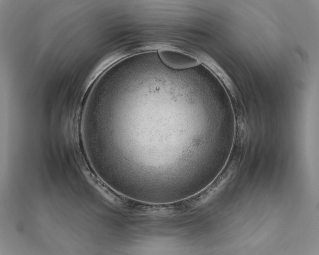 X0000112811002200908211140
