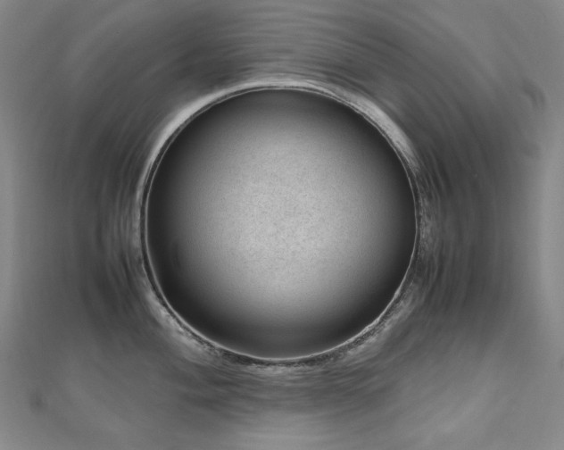 X0000112811004200908211140