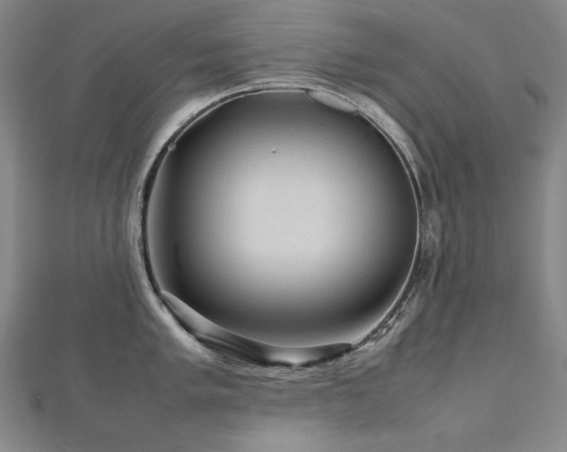 X0000112811005200908211140