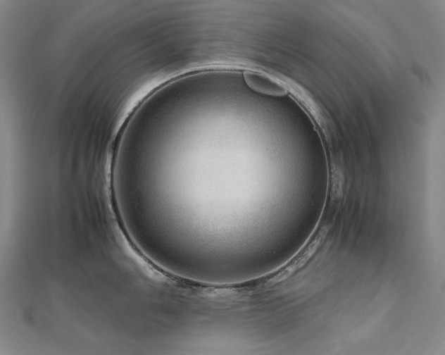 X0000112811006200908211140