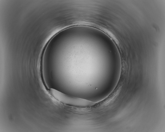 X0000112811007200908211140