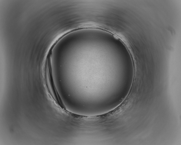X0000112811008200908211140