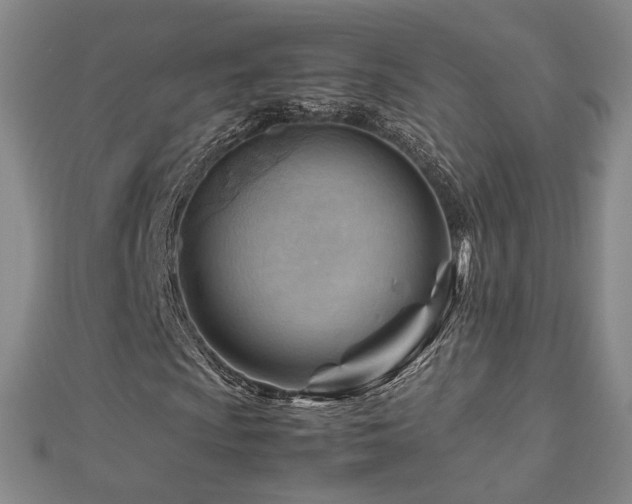X0000112811009200908211139