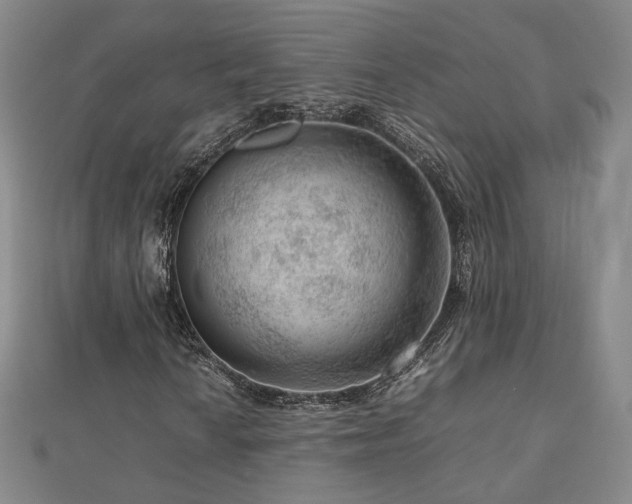 X0000112811010200908211139