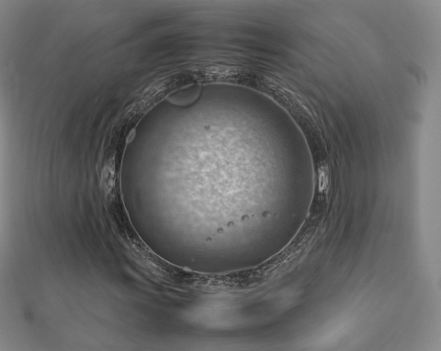 X0000112811011200908211139